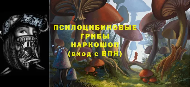 гидра рабочий сайт  Завитинск  Галлюциногенные грибы мухоморы  купить наркоту 